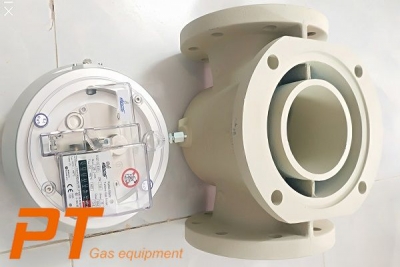 (Tiếng Việt) Đồng hồ đo lưu lượng gas EQZ Q400 - Elgas - Czech